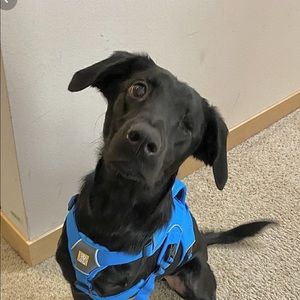 Meet your Posher, Brian